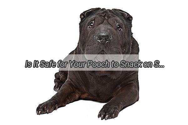 Is It Safe for Your Pooch to Snack on Spicy Snacks The Truth About Spicy Dishes for Dogs